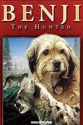 明星狗狗benji,忠诚与勇敢的传奇故事