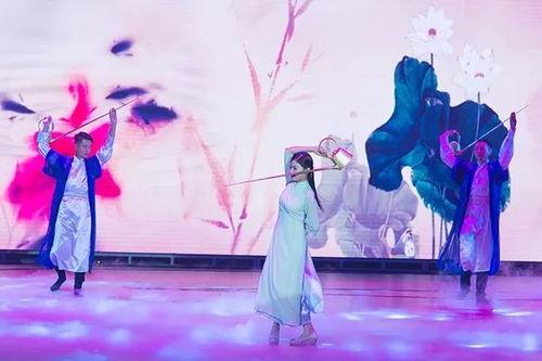 国家手语舞蹈视频大全,传承与创新的视觉盛宴