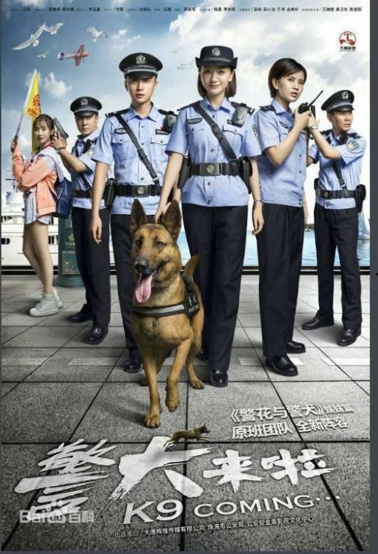 警犬来啦38集免费观看,揭秘警犬训练与实战，免费观看精彩瞬间