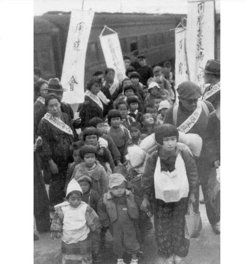 二战日本遗孤,命运与归途的交织