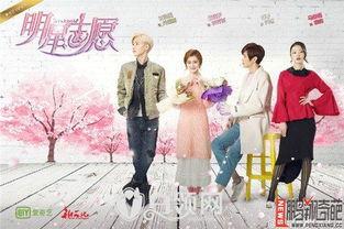 明星志愿在哪看,揭秘热门剧集幕后制作过程