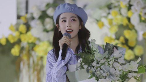 圈内人士爆料白鹿,圈内人士揭秘明星背后的故事