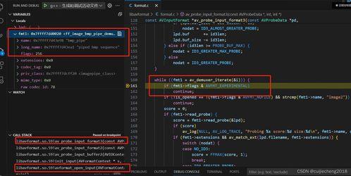 av源代码,AV源代码背后的技术奥秘与实现细节