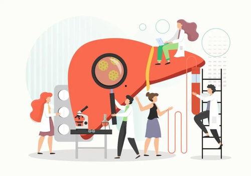 日本乙肝可治愈,突破性治疗引领健康未来