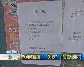 长春客服最新爆料热线,揭秘热线背后的真实故事