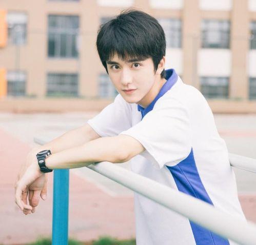 娱乐圈爆料客张新成