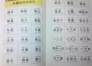 日本少的姓,揭秘那些罕见的姓氏故事