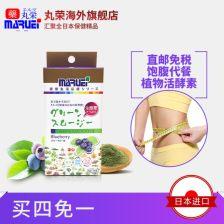 日本荣丸,日本文化瑰宝的传承与创新