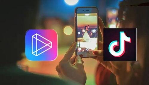 簧片视频大全直播,探索音乐世界的奇妙旋律